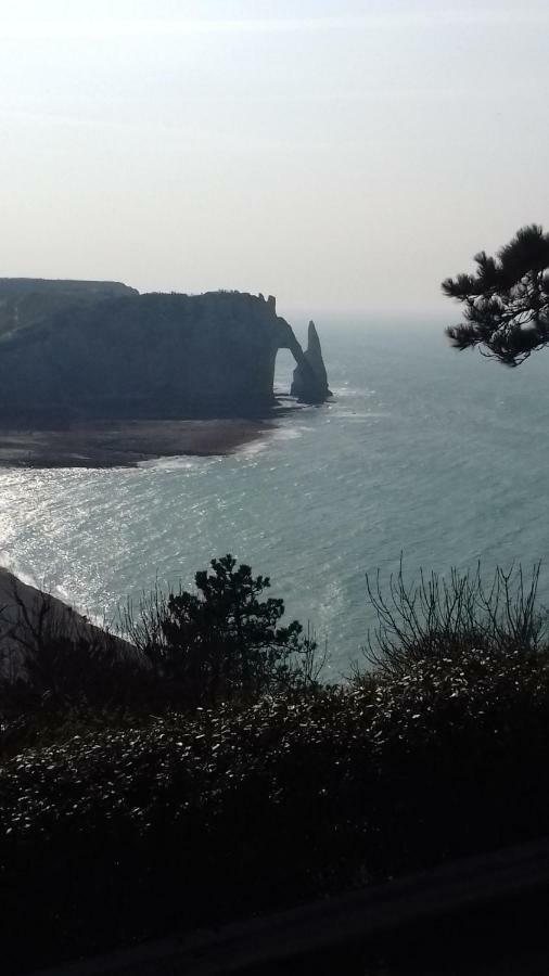 Les Nids Des Falaises